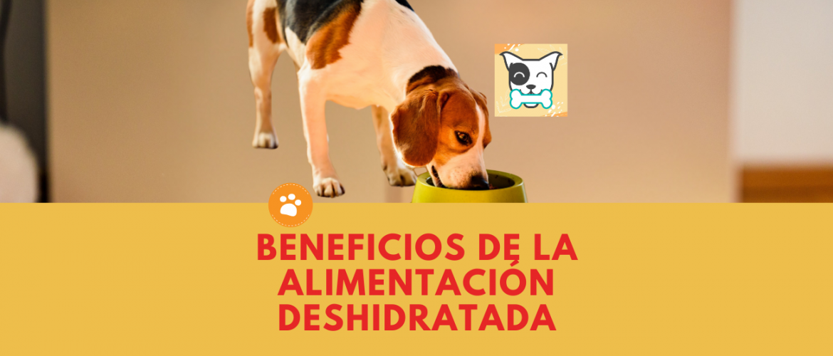Beneficios de la alimentación deshidratada