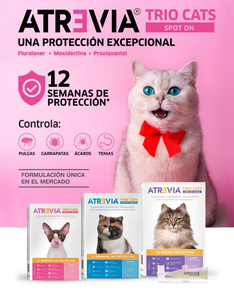 ¡Recuerda que con Atrevia® protegerás a tu perro hasta por 3 meses contra pulgas y también ácaros y garrapatas!💜😉
Recuerda darle Atrevia® junto con sus alimentos o hasta 2 horas después de comer.