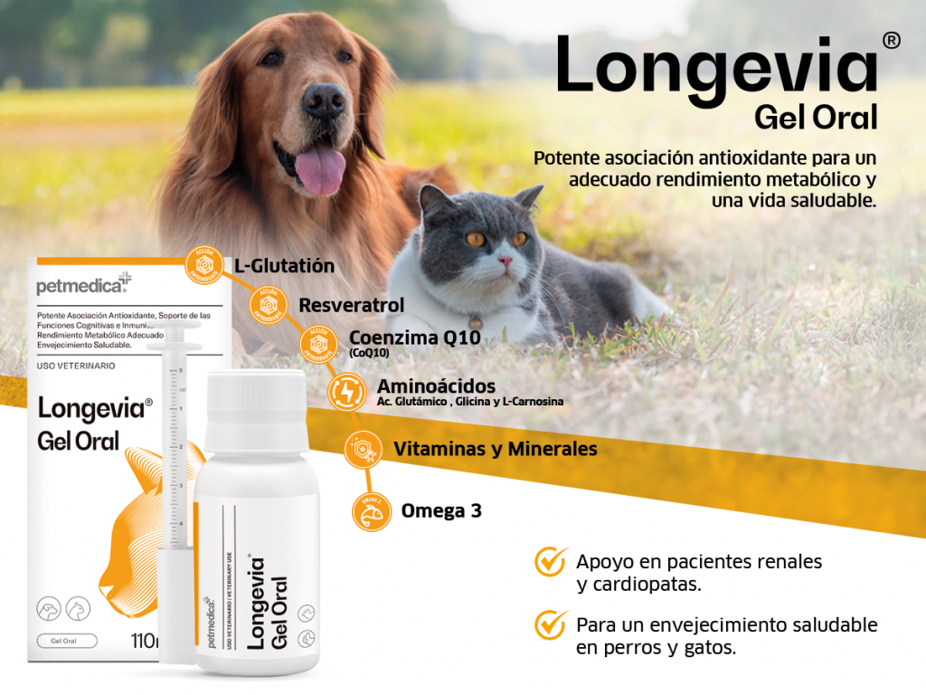Longevia Gel oral apoyo en pacientes renales y cardiopatas para un envejecimiento saludable en perros y gatos