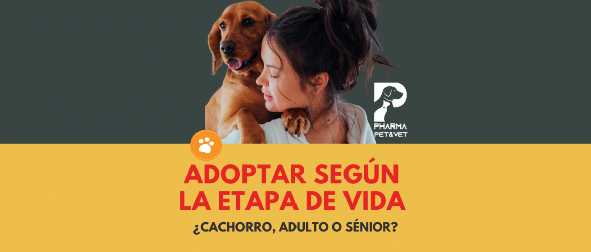 Adoptar según la etapa de vida