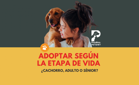 Adoptar según la etapa de vida