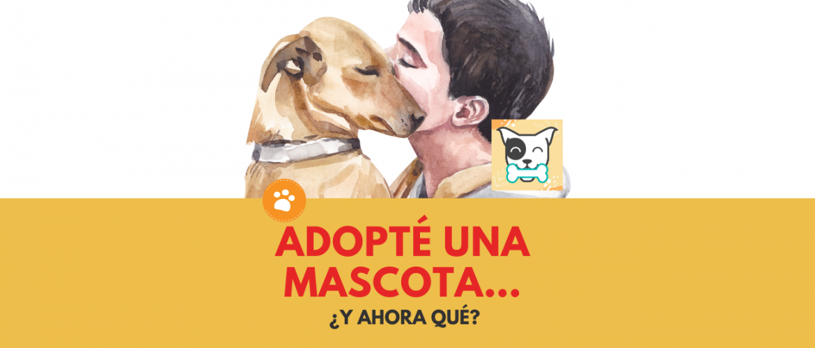 Adopté una mascota…