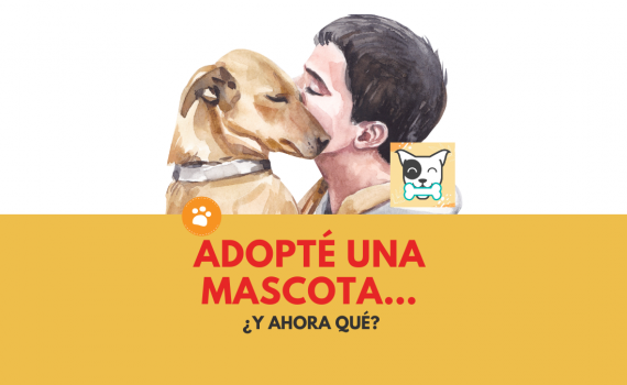 Adopté una mascota…