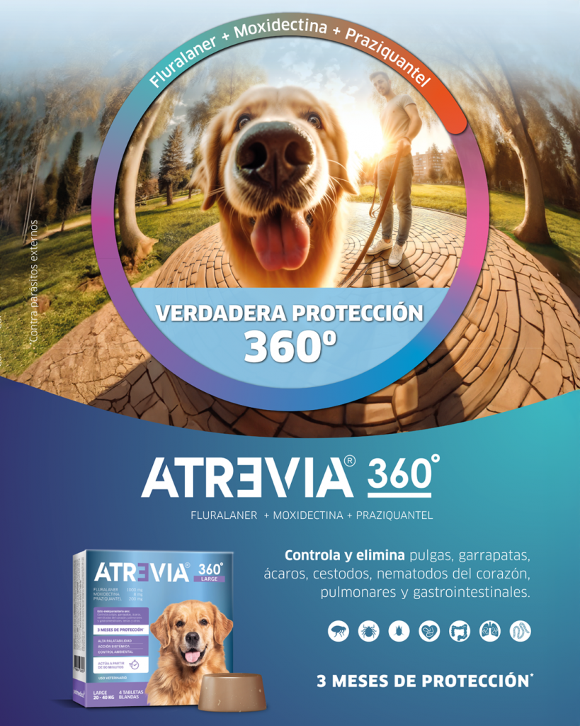¡Llegó la verdadera protección 360º que tu engreído merece! 🛡️🐕🛡️
Atrevia® 360º es la única tableta de delicioso sabor que controla y elimina pulgas, garrapatas, ácaros, los principales parásitos internos y también tenias. ¡Bríndale a tu engreído 3 meses de protección* para que disfrute de más aventuras y más diversión! 
*3 meses de protección contra parásitos externos.