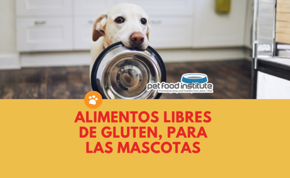 Alimentos Libres de Gluten, para las mascotas.
