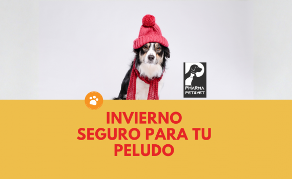 Invierno Seguro para tu Peludo