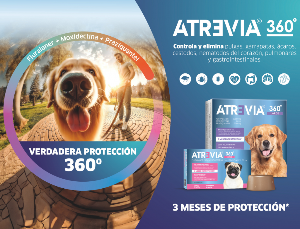 Atreveia 360 controla y elimina pulgas, garrapatas, ácaros, cestodos, nematodos del corazón, pulmonares y gastrointestinales.